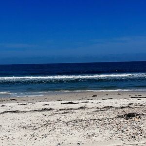 Meet your Posher, Sadie